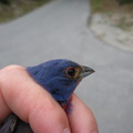 DSCN0610